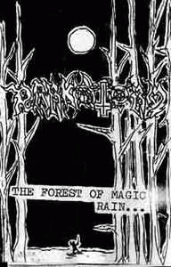 Darkstorm : The Forest of Magic Rain